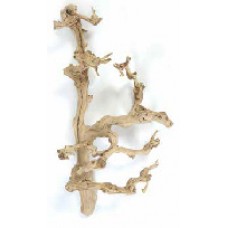 GRAPEWOOD BRANCHY Sanded 24"- ALL OUT OF STOCK !!